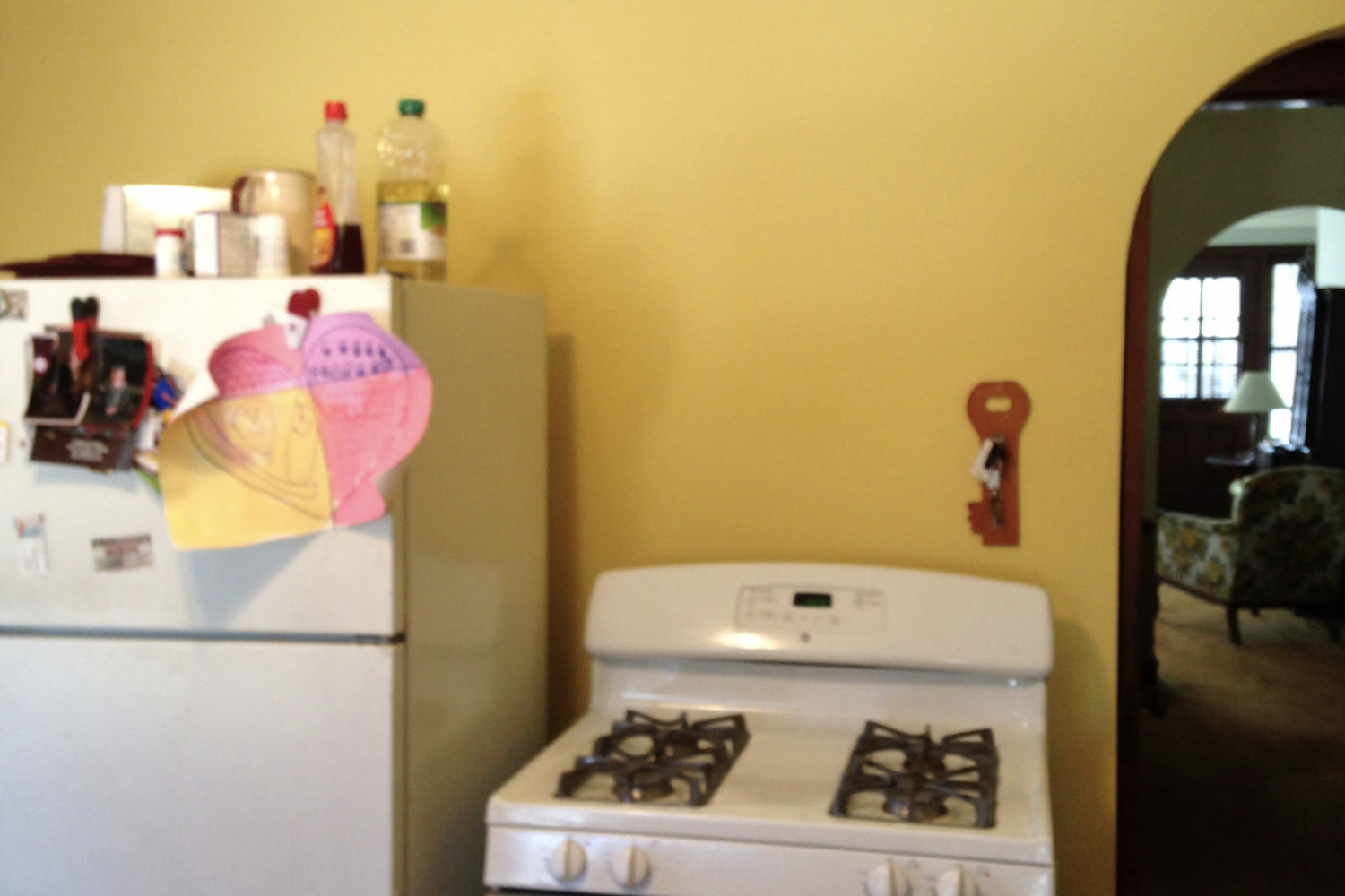 Chicago Kitchen Remodeling Experts Chicago, IL Kitchen Remodel