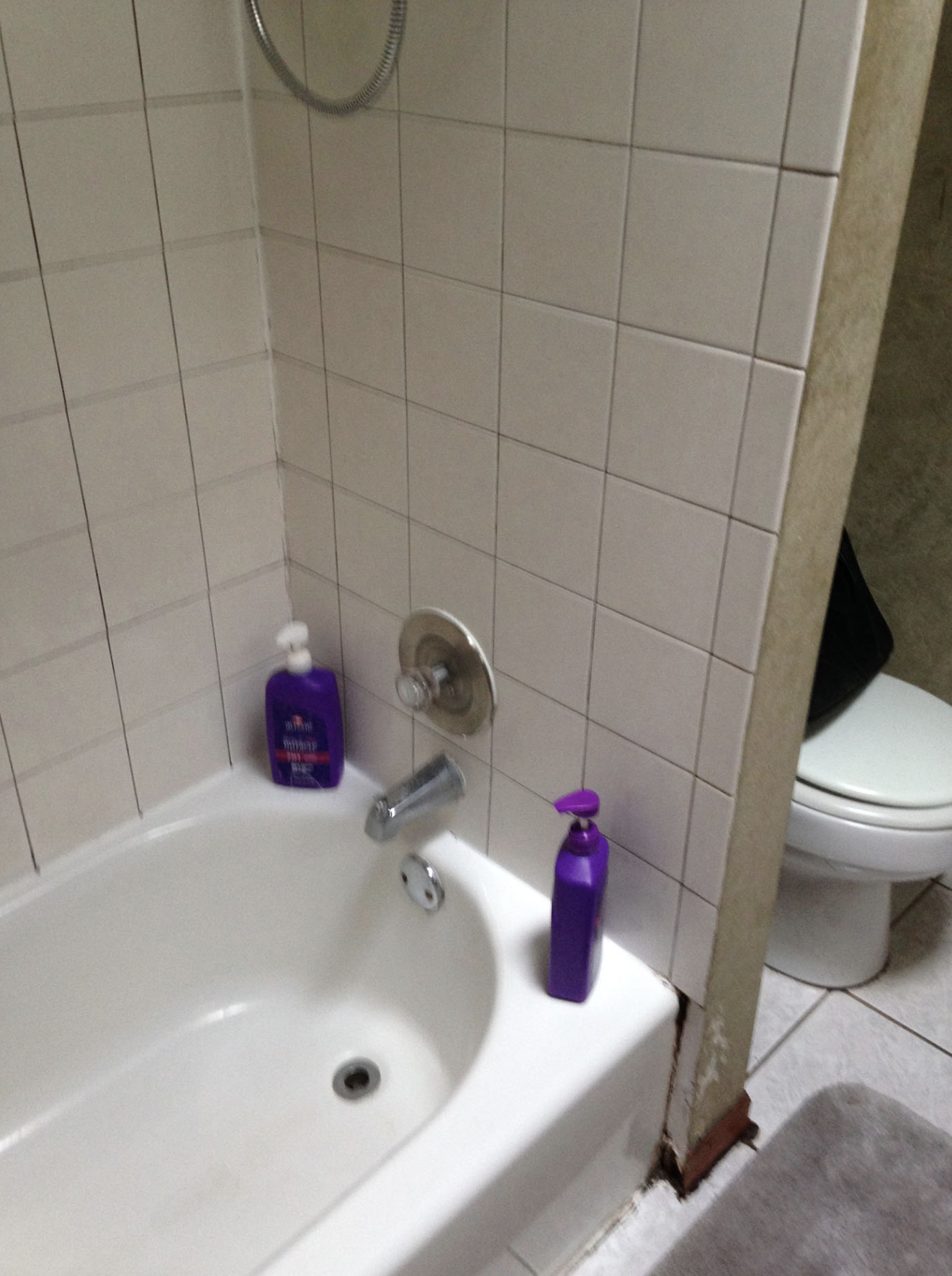 Rhonda R Arlington Hts Bath Before 2