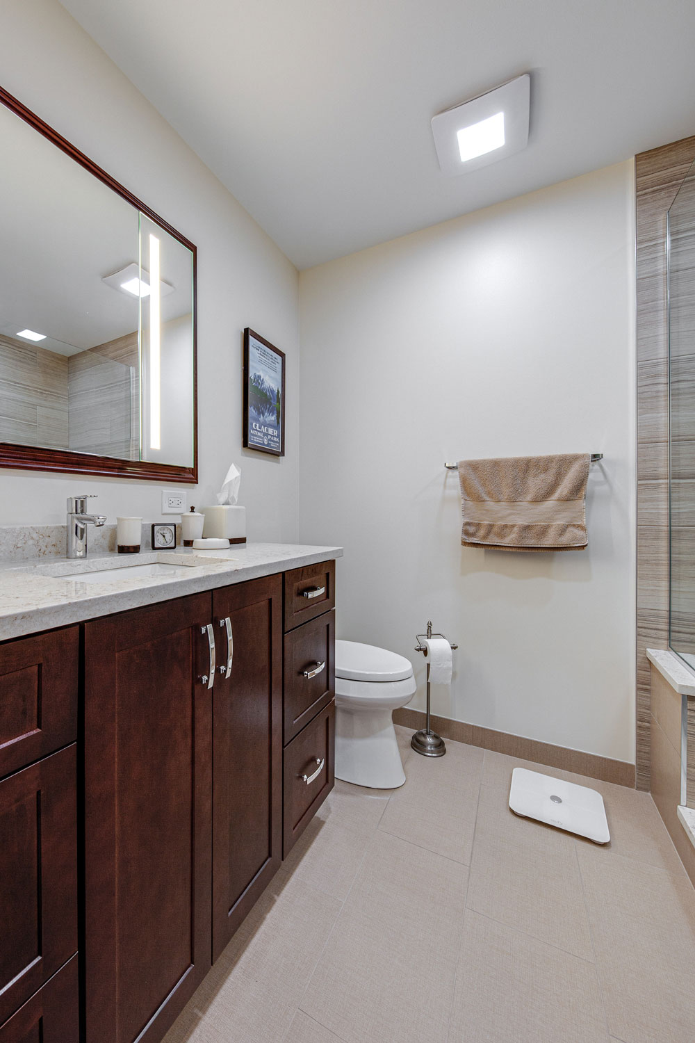 Bathroom Renovation in Park Ridge