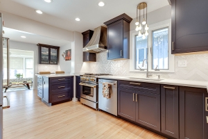 Kitchen remodel in Park Ridge