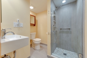 Basement bath remodel in Park Ridge