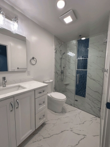 Bathroom remodel with shower in Park Ridge