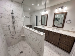 Primary bathroom remodel in Park Ridge